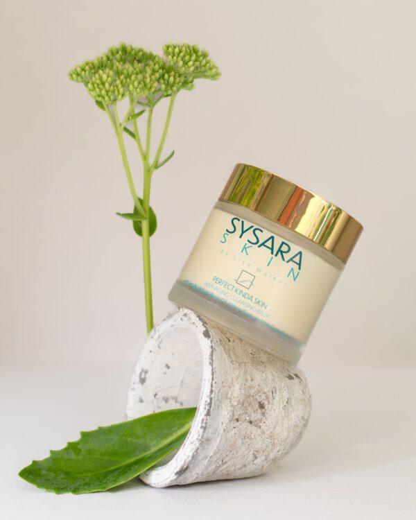 Perfect Kinda Skin Cleansing Balm